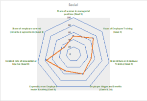 TDHs use of UN SDG GCIs for ESG advisory, aiding businesses in aligning sustainable goals and benefiting stakeholders