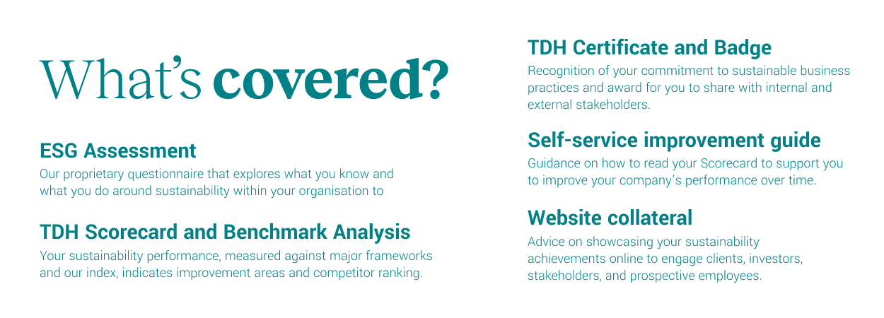 TDH The Disruption House - Whats Covered in the Discover Solution